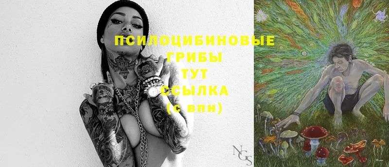 Псилоцибиновые грибы Cubensis  Тюкалинск 